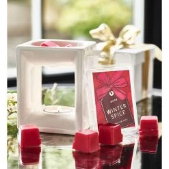 Avon Cosmetics Home Fragrance Winter Spice Wax Melts