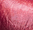 Avon Cosmetics New Ultra Shimmer Lipstick 20 Avon Cosmetics New Ultra Shimmer Lipstick